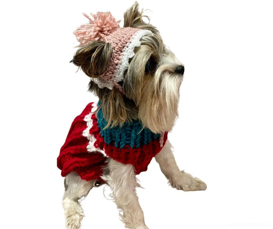 Zimní čepice pro psa s bambulí modrá 