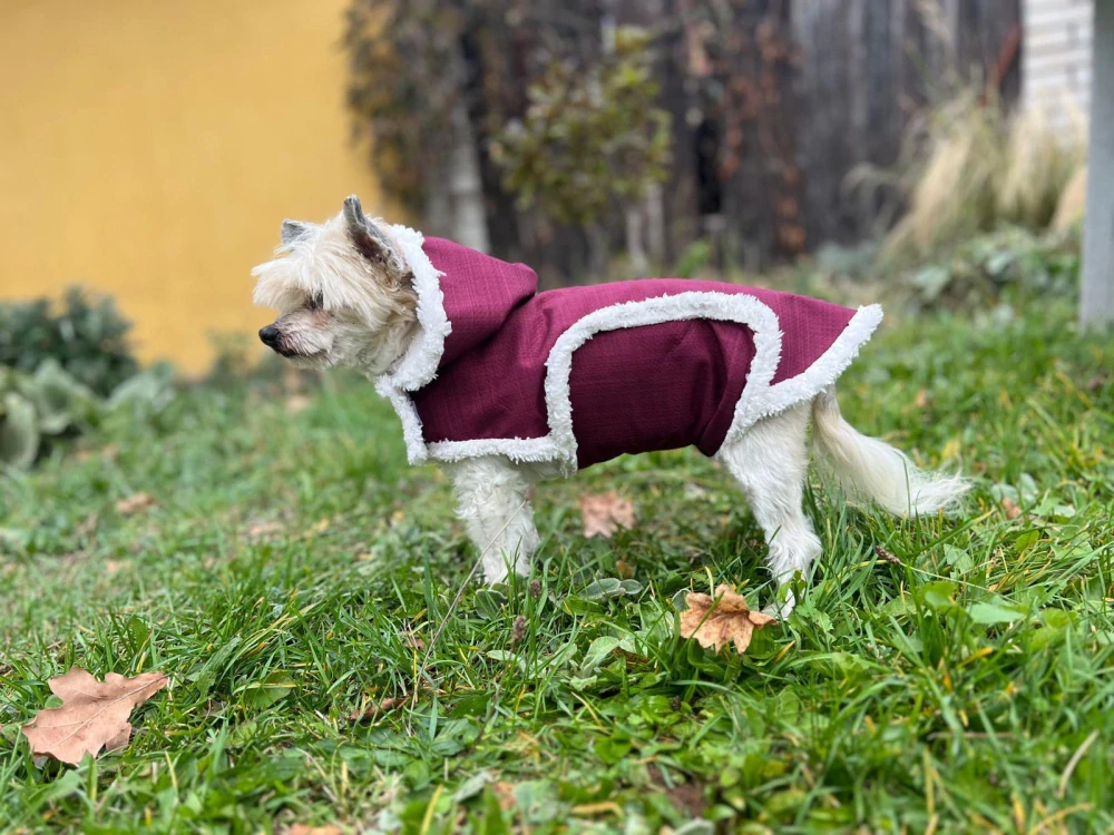 Zimní vesta pro fenky s kožíškem tyrkysová s tlapkou