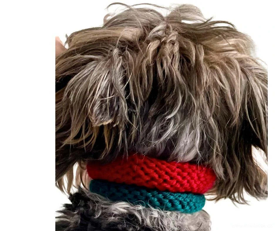 Ozdobný obojek červeno zelený