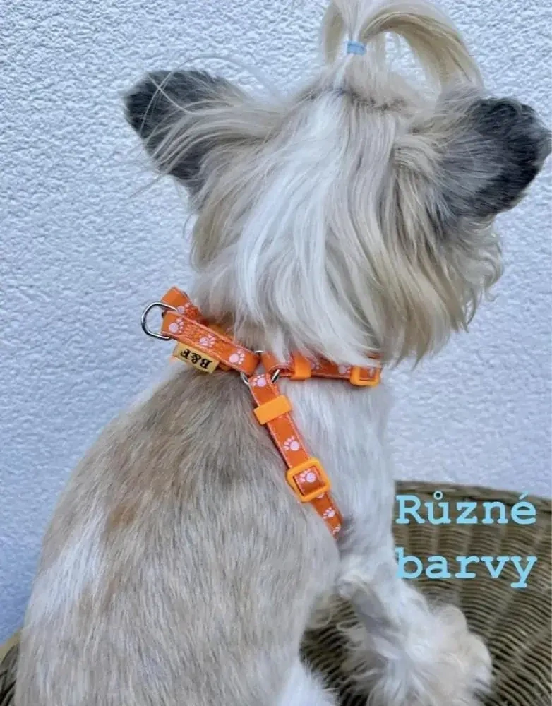 Postroj pro psa Tlapky 10mm