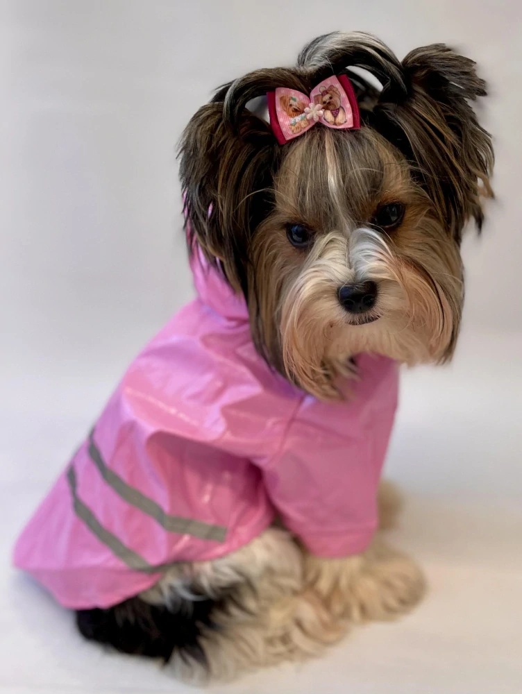 Růžová pláštěnka pro psa 27-33cm