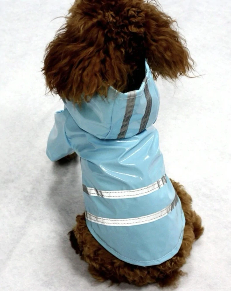 Modrá pláštěnka pro psa