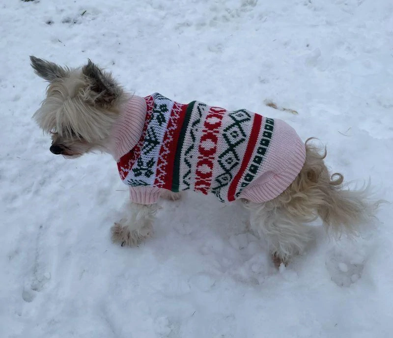 Růžový svetr pro psa norský vzor 36cm