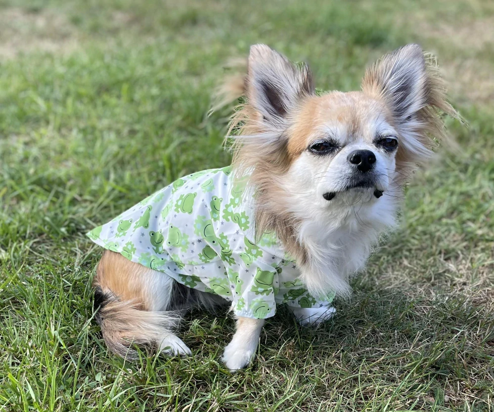 Pláštěnka pro psa 30cm