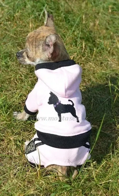 Teplákovka pro psy s výšivkou čivava pro fenky