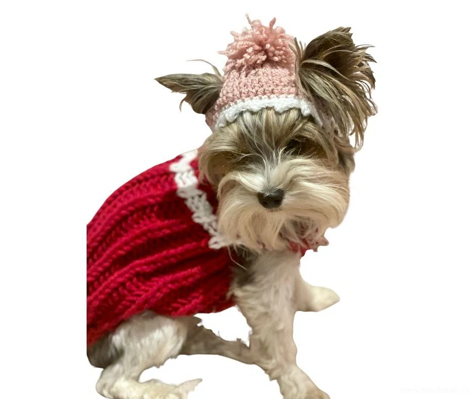 Zimní čepice pro psa s bambulí modrá 