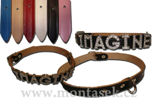 Kožený obojek pro psy ke zdobení 10mm 40cm