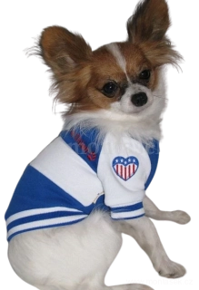 Mikina pro psa modrobílý proužek