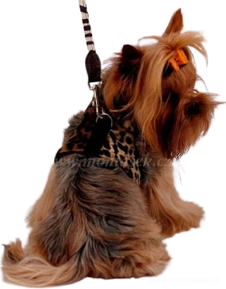 Postroj pro menšího psa leopard