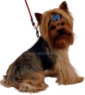 Postroj pro menšího psa, vesta jeans DOPRODEJ