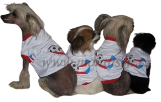 Tričko pro psa fotbalový dres