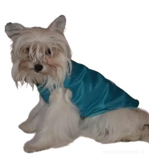 Vesta pro psy s výšivkou ruzné barvy