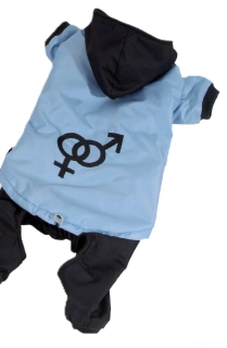 Kombineza pro psa 36-38cm modrá