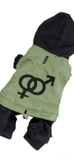 Kombineza pro psa 36-38cm zelená