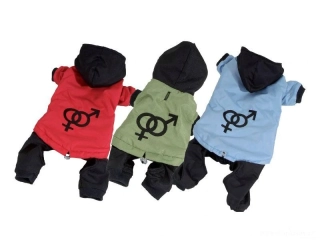 Kombineza pro psa, odepínatelné nohavice 38cm