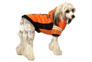 Mikina pro psa oranžová 20cm