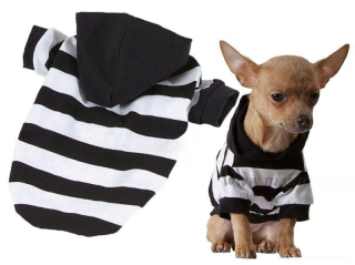 Hoody triko pro psa pruhy 