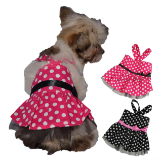 Šaty puntíkované pro fenky 