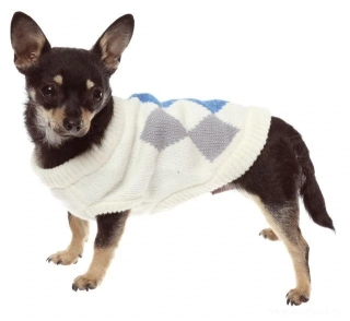 Bílý károvaný svetr pro psa, oblečky pro psy
