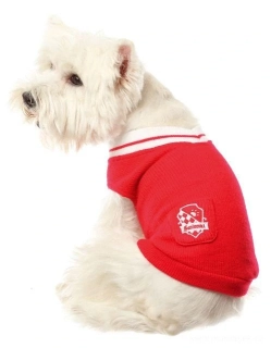 Červený svetr pro psa 35cm