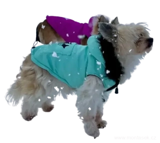 Zimní vesta pro psa s kapucí