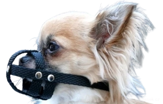 Nylonový náhubek mini plemena