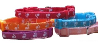 Obojek pro psa tlapky 15mm