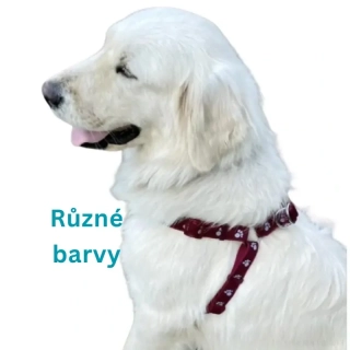 Postroj pro psa tlapky 20mm