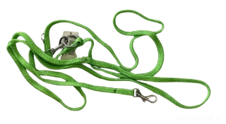 Zelené přepínací vodítko pro psy 10mm