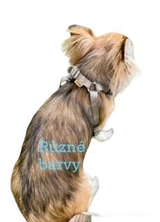 Postroj pro psa 15mm