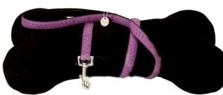 Fialové vodítko pro psa 15mm
