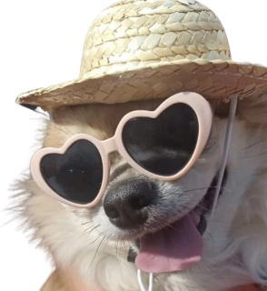 Srdíčkové brýle pro psa, kočku