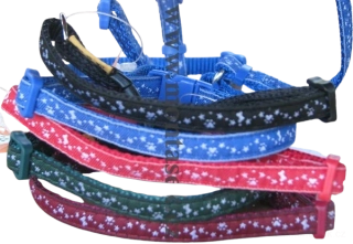 Obojek pro psa, kolekce Hvězdičky 10mm