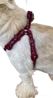 Postroj pro psa Hvězdičky bordo 10mm