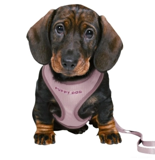 JUNIOR SOFT postroj s vodítkem pro štěňata šeřík