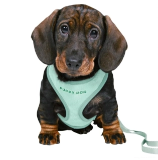 JUNIOR SOFT postroj s vodítkem pro štěňata máta