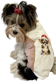 Zimní vesta pro psa čivava