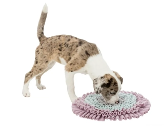 Čichací kobereček, aktivní zábava pro psa