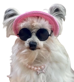 Sluneční černé brýle pro psa