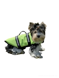 Plovací vesta pro psa zelená