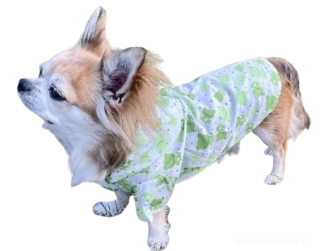 Šusťáková bunda do deště pro psa žabičky