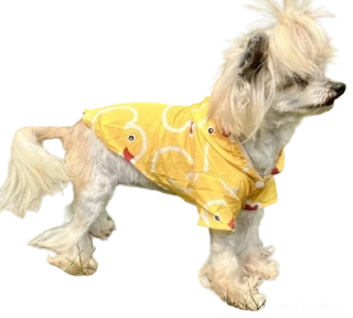 Šusťáková bunda do deště pro psa kačenky