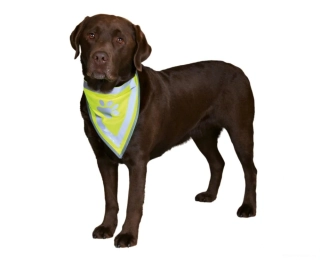 Reflexní šátek pro psa