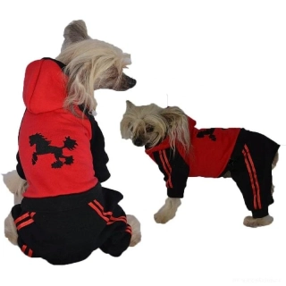 Teplákovka čínský chocholatý pes