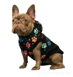 Zateplená softshellová bunda pro psa tlapky