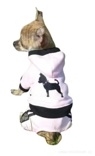 Teplákovka pro psy s výšivkou čivava pro fenky