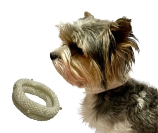 Bílý ozdobný obojek pro psy a kočky s perličkami