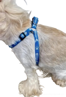 Modrý postroj pro psy kolekce Fish bones 10mm