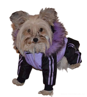 Zimní kombineza pro psa, oblečky pro psy 2. jakost 