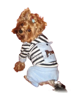 Tepláková souprava pro malého psa 18-23cm